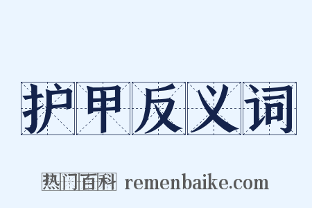 护甲反义词是什么意思的图片